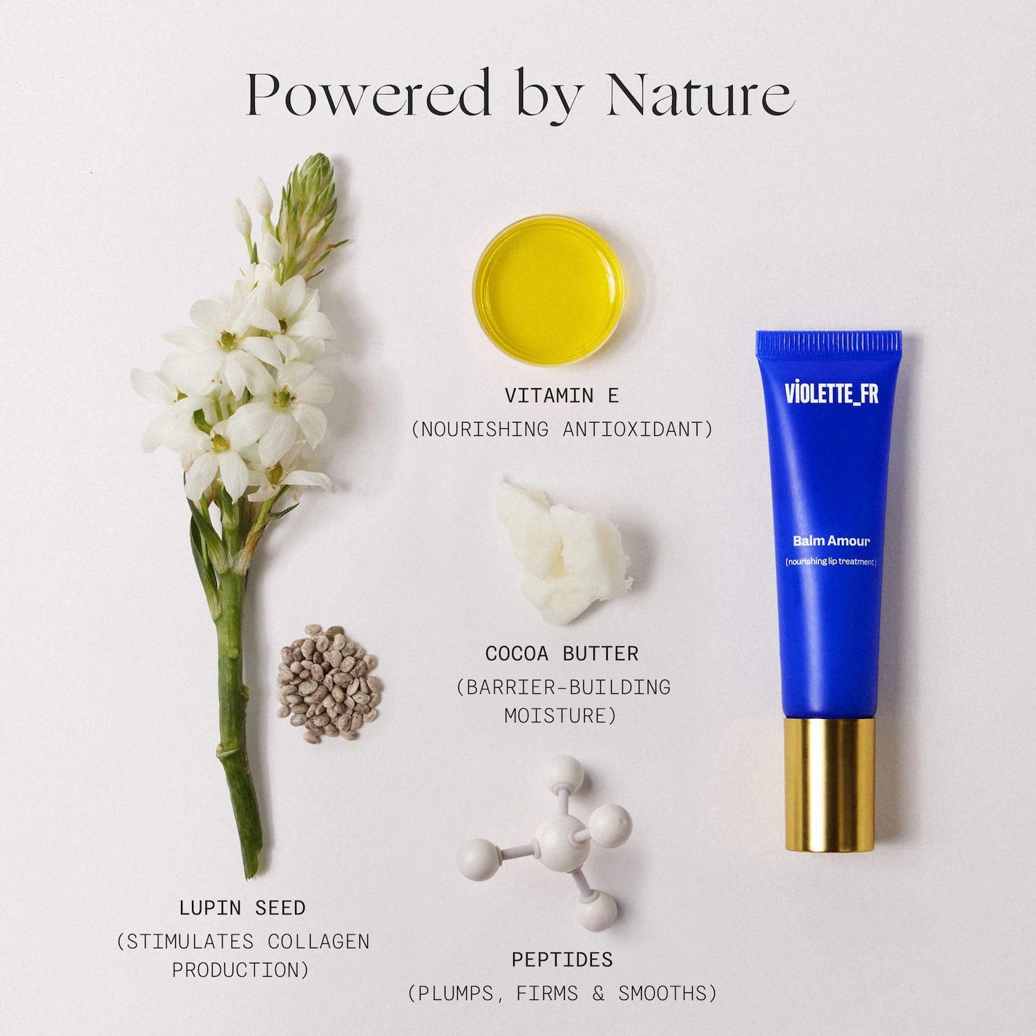 VIOLETTE_FR | BALM AMOUR Nourishing Lip Treatment with Peptides